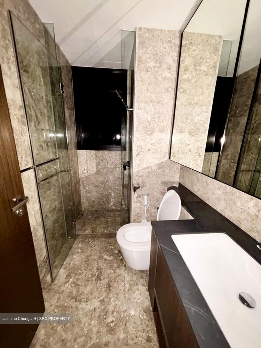 Kopar At Newton (D9), Apartment #505336171